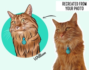 Personalised Digital Cat Drawing/ Custom Cat Illustration/ Digital Pet Portrait/ Cat Loss Memorial Gift/ Cat Owner Present Idea