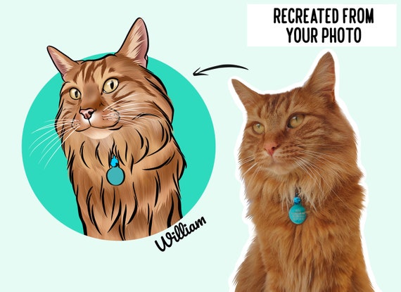 Personalised Digital Cat Drawing/ Custom Cat Illustration/ Digital Pet Portrait/ Cat Loss Memorial Gift/ Cat Owner Present Idea