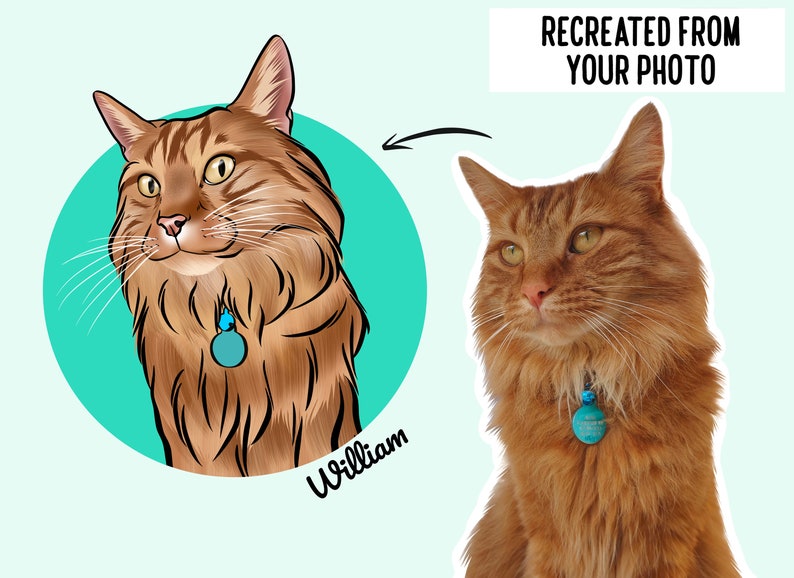 May include: A digital illustration of a brown tabby cat with green eyes, wearing a blue collar with a round tag. The cat is looking to the right. The illustration is in a circle with a turquoise background. The text "William" is written below the circle.