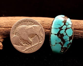 Cabujón turquesa número 8, piedra de Nevada de grado gema (15,6 quilates)
