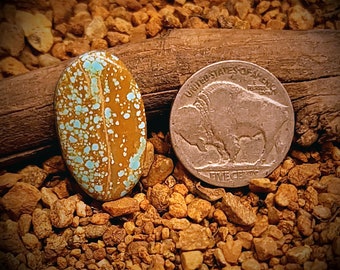 Turquesa número 8. Cabujón de turquesa de stock antiguo. 15,3 quilates. Turquesa Nevada. Turquesa auténtica.