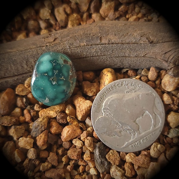 Rare Natural Damele Turquoise. Turquoise Cabochon. Green Turquoise. 7.05 Carats. Old Webbed American Turquoise. High Grade Turquoise.