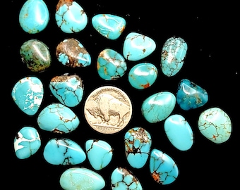 Cabujones de turquesa número 8: Cabujones de calidad gema, stock antiguo de Nevada (lote de 23)