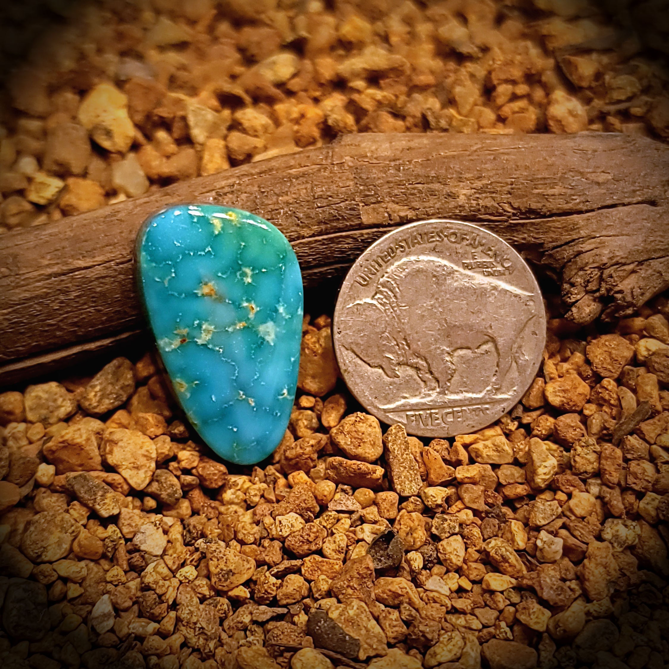 Water Web Turquoise - Etsy