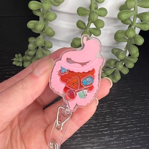 May include: Pink plastic anatomical intestine keychain with a clear background and a silver retractable badge holder. The intestine is filled with small colorful details.