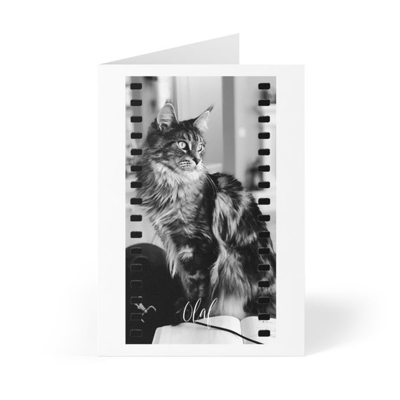 Greeting Cards (8 pcs) - 28