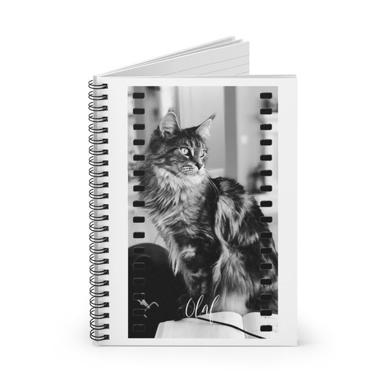 Spiral Notebook - Ruled Line - 33