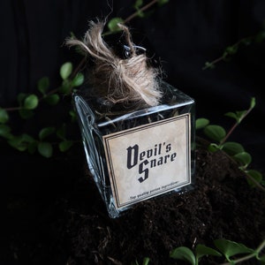 May include: A clear, square glass bottle labelled "Devil's Snare" with a vintage-style label. The bottle is filled with dark contents and sealed with a twine-tied stopper. Green vines and dark soil surround the bottle.