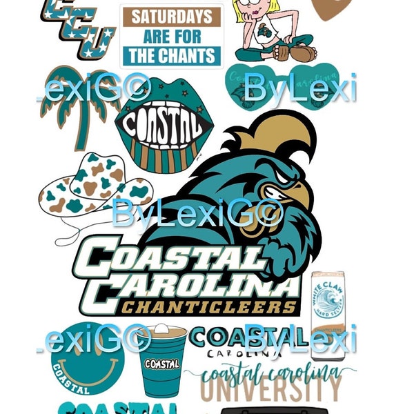 Coastal Carolina Etsy