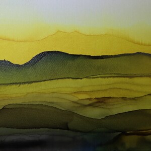Wild Mountain Honey