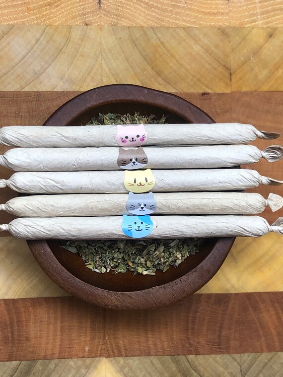 cigarette def What's in a cigarette? — Lung Cancer Kilts Research Cures! cigarette def What's in a cigarette? — Lung Cancer Kilts Research Cures!