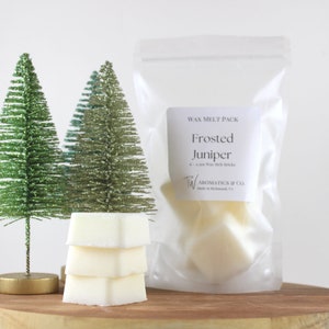 Frosted Juniper Wax Melts - Holiday and Winter Melt - 6 Count Wax Melt Pack