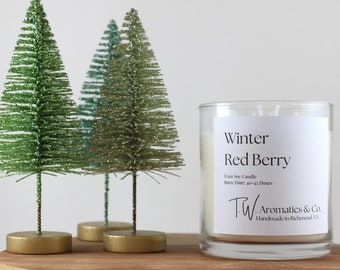 Winter Red Berry - Holiday and Winter Candle - Hand Poured 8.5oz Soy Glass Container Candle