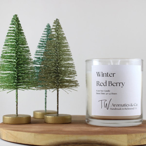 Winter Red Berry - Holiday and Winter Candle - Hand Poured 8.5oz Soy Glass Container Candle