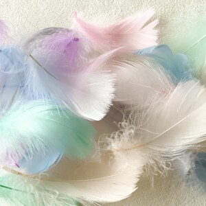 Plumes décoratives, plumes colorées, sceau de cire, arts et métiers, emballage cadeau, remplisseur de cadeaux, scellement de cire, projets de bricolage, plumes image 10