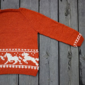 Wild horses sweater