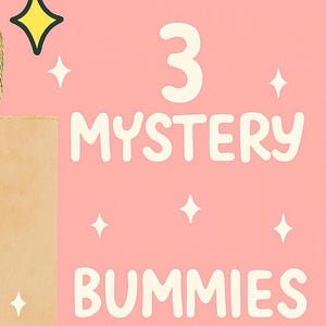 May include: A brown paper shopping bag with a woven handle, a black dollar sign, and yellow star-shaped accents. The words "3 MYSTERY BUMMIES" are written in white on a pink background, with white star accents.