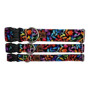 Helles Blumen-Regenbogen-Hundehalsband