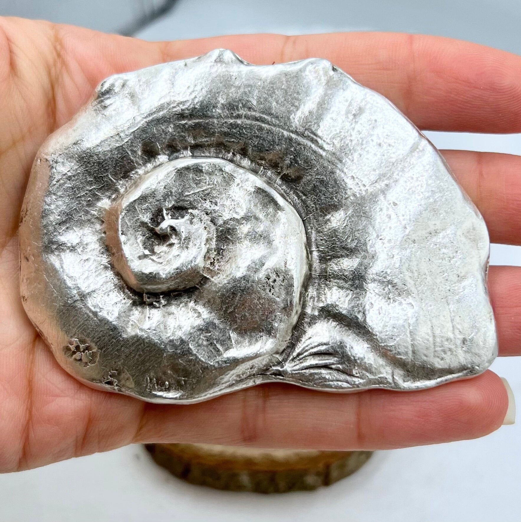 1 Pcs Ocean Lover Gift Idea, Silver Seashell Belt Buckle