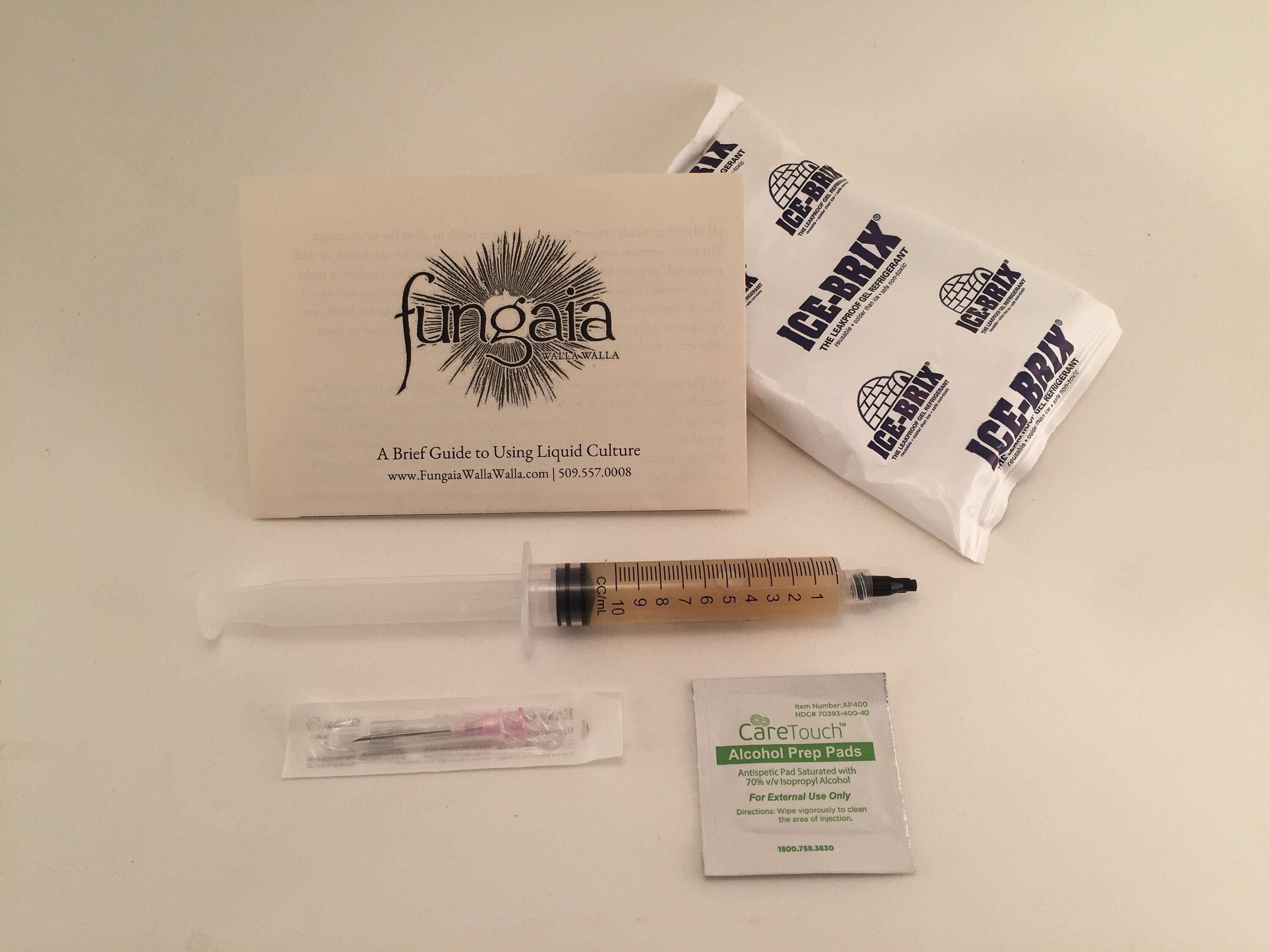 Blushing Morel Liquid Culture morchella Rufobrunnea choose Etsy