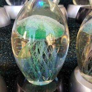 Natural Jellyfish (mini)