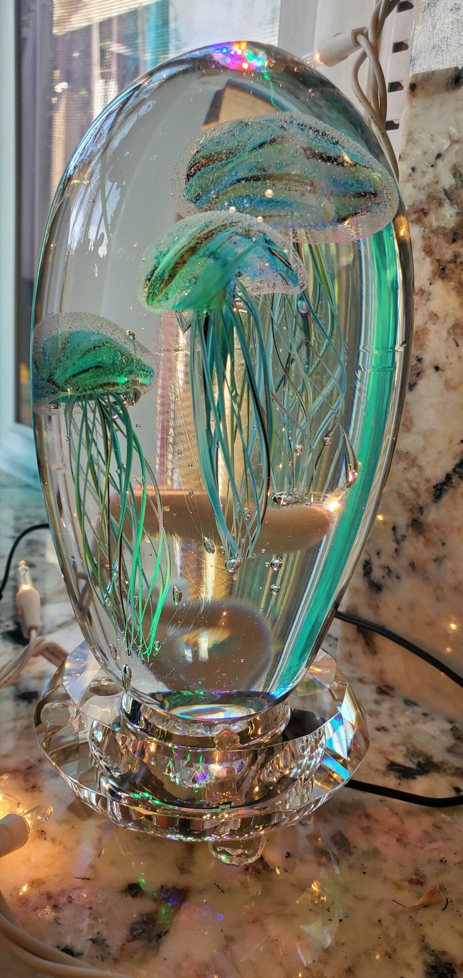 Natural jellyfish preserved in resin Etsy