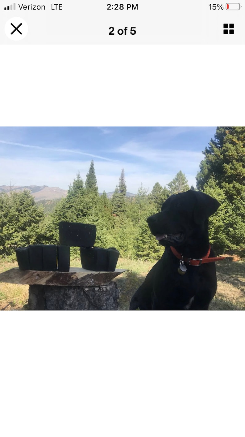 Peut inclure: Un chien noir est assis dans un environnement forestier, regardant vers la droite. Le chien porte un collier rouge avec une &eacute;tiquette. Il y a quatre objets circulaires noirs sur une souche d'arbre au premier plan.