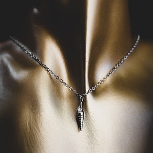 May include: A silver chain necklace with a seashell pendant. The seashell is detailed and has a spiral design.