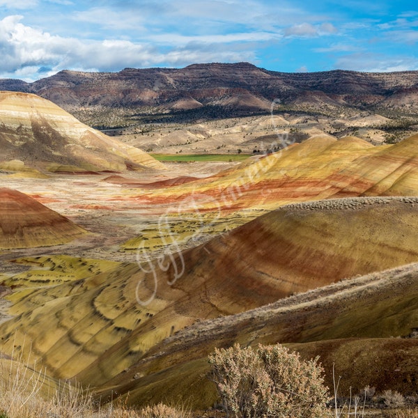 Sagebrush Fine Art Etsy