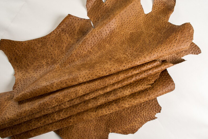 Rustic Ostrich Embossed Cowhide Leather California Nut Precut Etsy