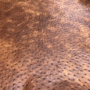 Rustic ostrich embossed cowhide leather  - pre-cut panel 8.5&quot; x 11&quot;/ 12&quot; x 12&quot; / full hide 18-25 SQFT
