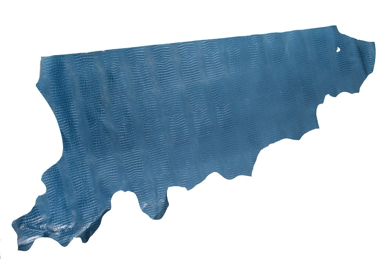 May include: A piece of blue snakeskin leather with a textured surface.