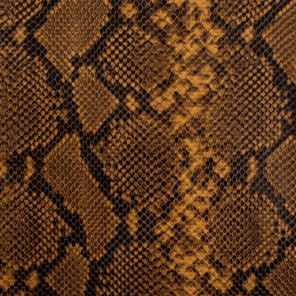 Copperhead Snake Skin - Etsy