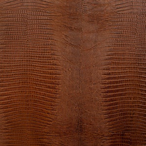 Classic Teju lizard cognac leather pre cut sheet 8.5" x 11" /12" x 12" / Half hide 18-23 FT