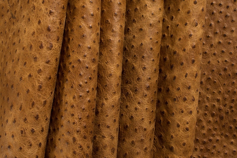 Rustic Ostrich Embossed Cowhide Leather California Nut Precut Etsy