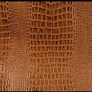 May include: Close-up of a brown faux leather texture with a crocodile skin pattern.