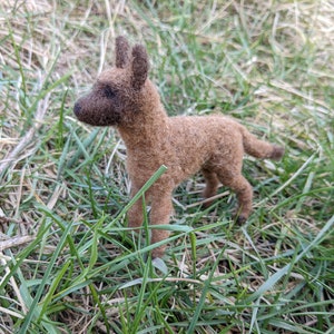 felted dog, Belgian Shepherd, Malinois