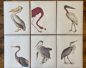 Audubon Birds Prints, Birds of America, Vintage Styled, Heron, Flamingo, Pelican, Ornithological Parchment Prints, Home Decor, Wall Art