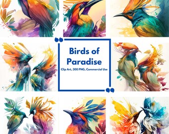 Watercolor Birds of Paradise Clipart - Birds of Paradise Fantasy Clip Art in PNG format,  Instant Download for commercial use, Vibrant Color