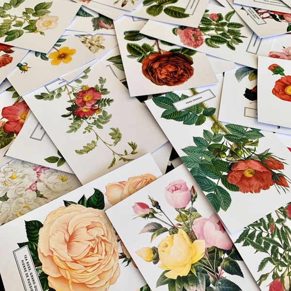 Vintage Style Botanical Rose Postcards Prints | Lucky Dip Set Of - 5, 10, 20, 30 | New York Botanical Garden, Home Decor, Gift, Art, Design