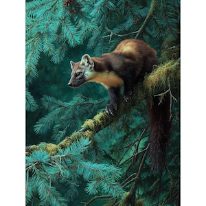 Puede incluir: Pintura detallada de una marta sobre una rama cubierta de musgo, en medio de un fondo de agujas de pino azul-verdosas. La marta tiene pelaje marrón con vientre más claro y una larga cola tupida. La obra captura la postura alerta del animal.