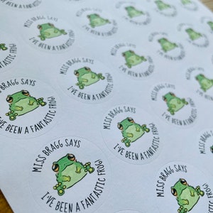 Frog Stickers - Teacher Stickers - Reward Stickers - Personalised Stickers - Teacher Gifts - Teacher Stationery - NQT - Stickers- ECT