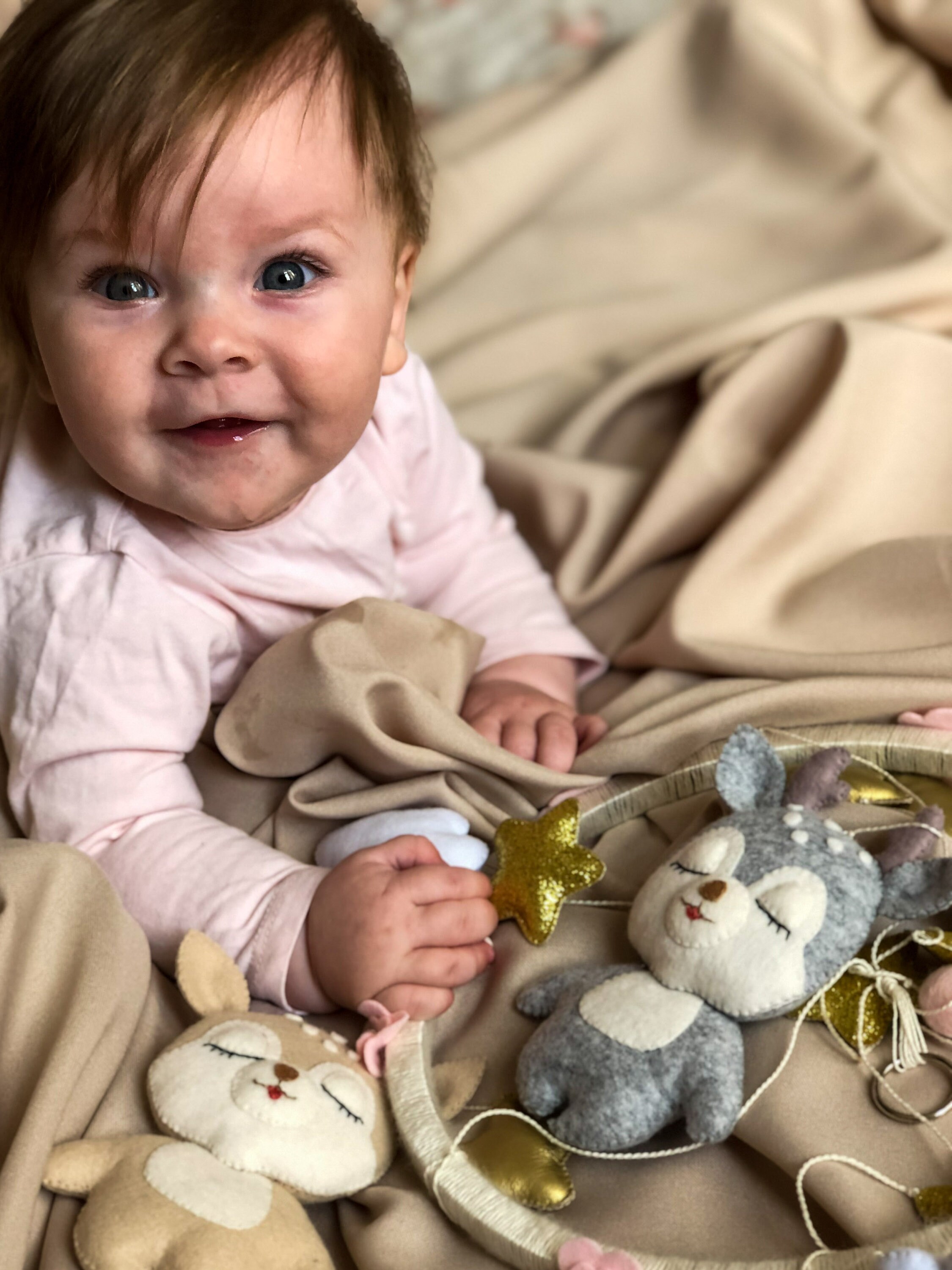 Deer Mobile Baby Girl Mobile Woodland Nursery Decor Girl Etsy