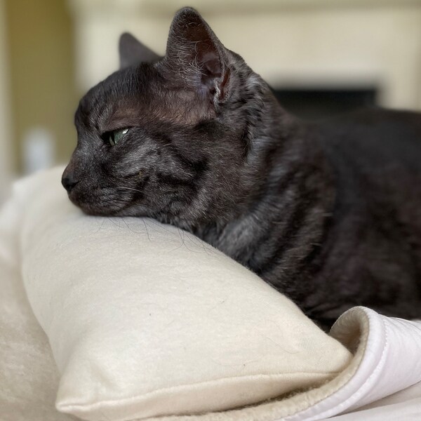 Orthopedic Cat Neck Pillow, Organic Kitty Pillow