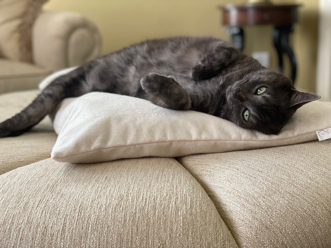 Cat Bed Pillow, Organic Pet Bed Etsy