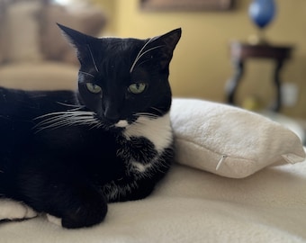 Organic Sherpa Pillow, Head Pillow For Cat