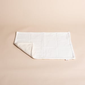 Organic Cotton Cat Pad: Double-Sided Carrier Bed (21x15)