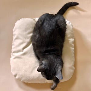 Cubo - Cat Cube Pillow