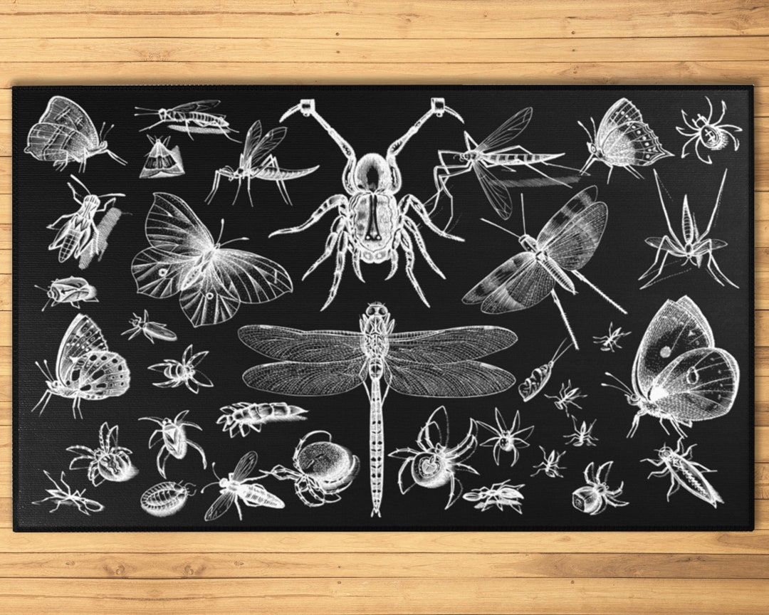 Insects and Moths Rug Butterfly Dragonfly Spider Carpet Biology ...