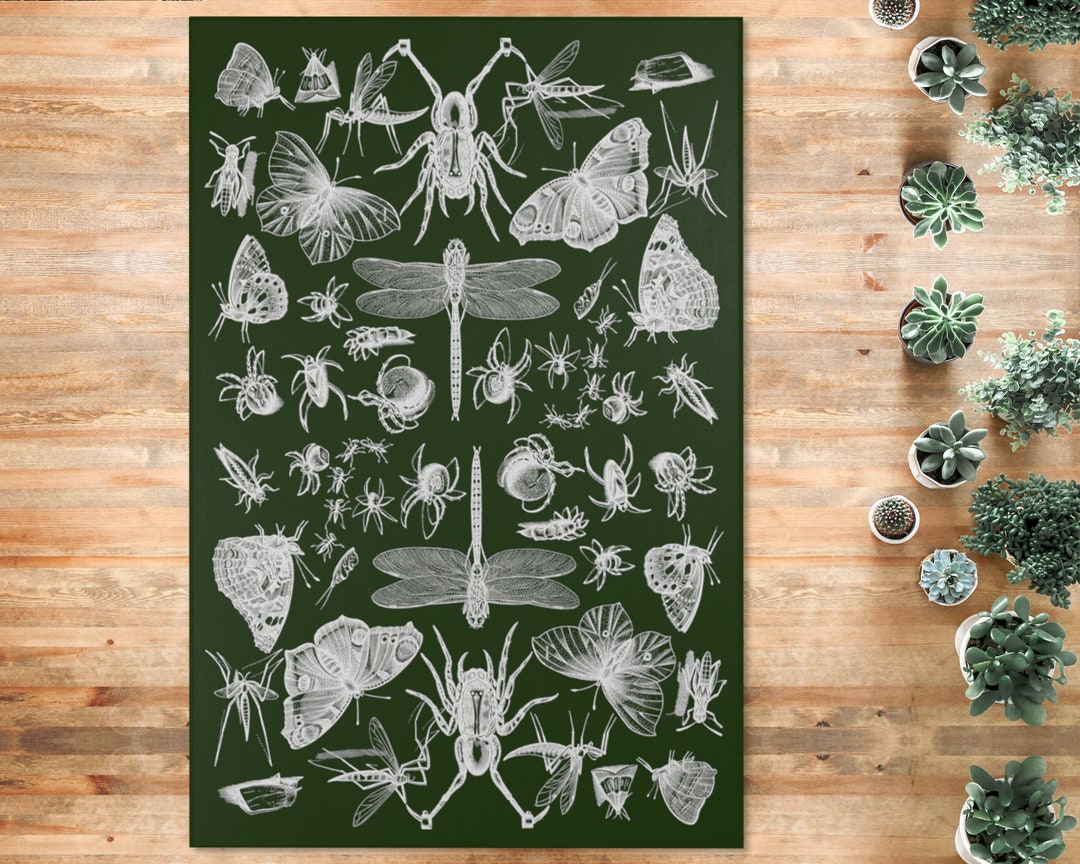Insects and Moths Rug Forest Witch Butterfly Dragonfly Spider Carpet ...